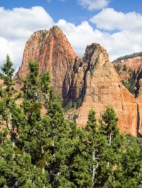 21613150-sandstone-towers-rise-above-evergreen-trees-under-a-dramatic-blue-cloudy-sky-in-the-kolob-canyons-di